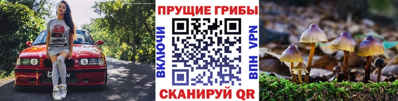 Купить где  Ярославль  Галлюциногенные грибы GOLDEN TEACHER 