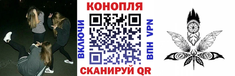 Канабис AK-47  Купить  Ярославль 